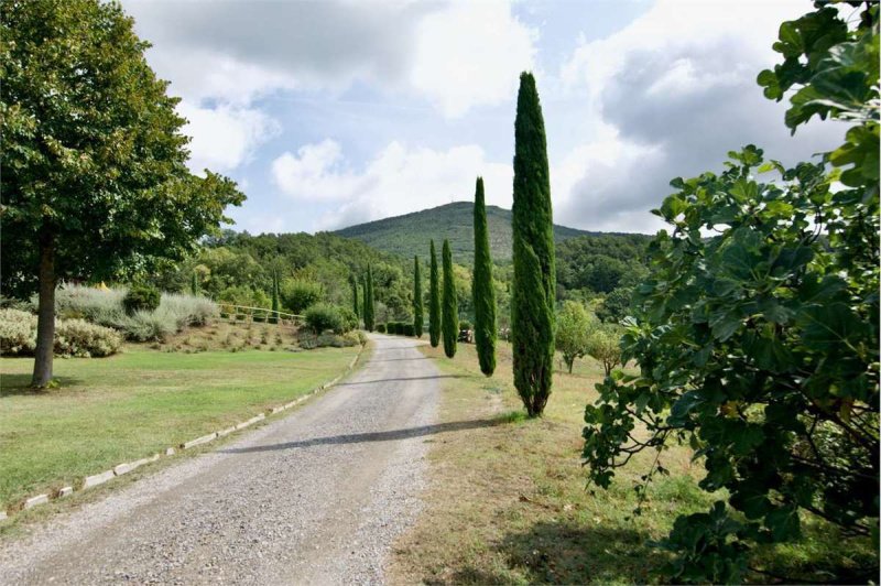 Appartement in Sarteano