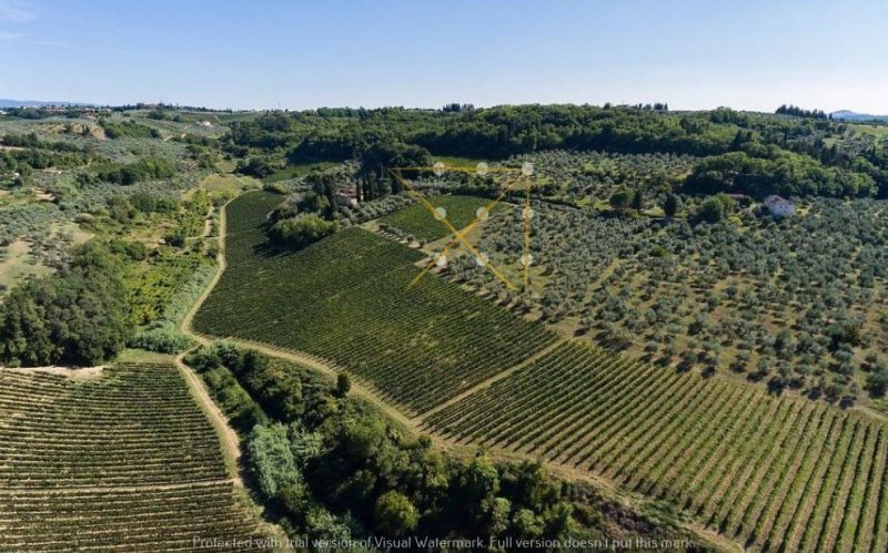佩萨河谷圣卡夏诺别墅