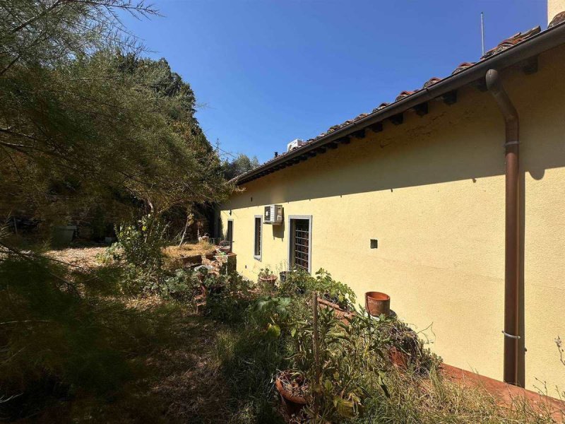 Поселок в Пелаго