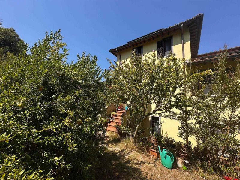 Поселок в Пелаго