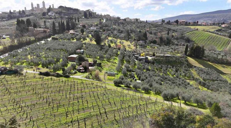 Wohnung in San Gimignano
