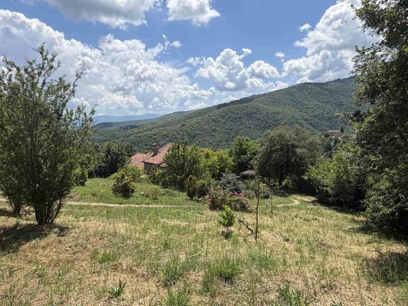 Casa geminada em Castel San Niccolò