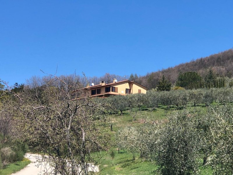 Villa a Assisi