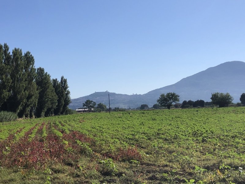 Huis op het platteland in Assisi