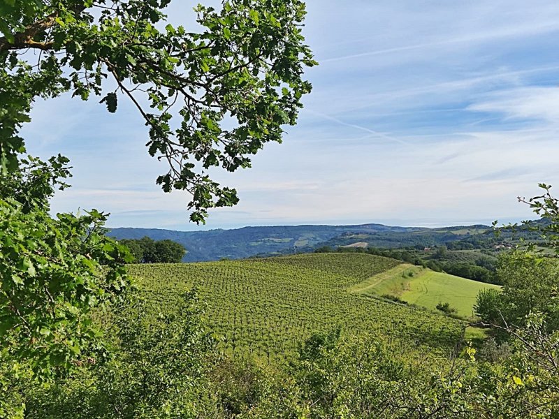 Landwirtschaftlicher Betrieb in Montecchio