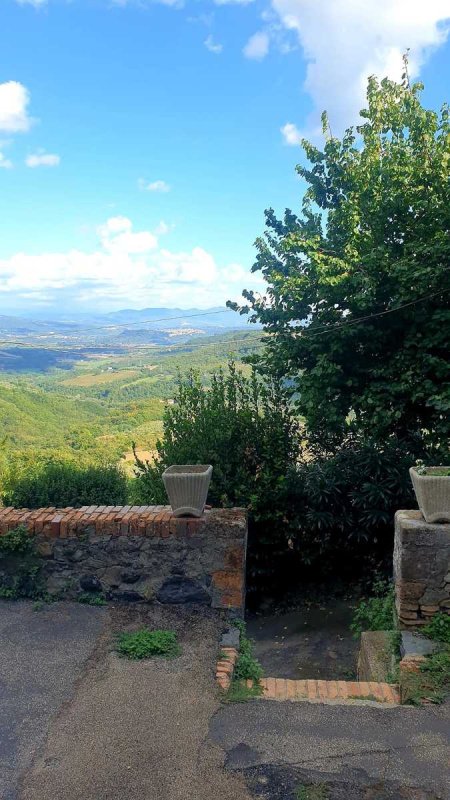 奥尔维耶托排楼