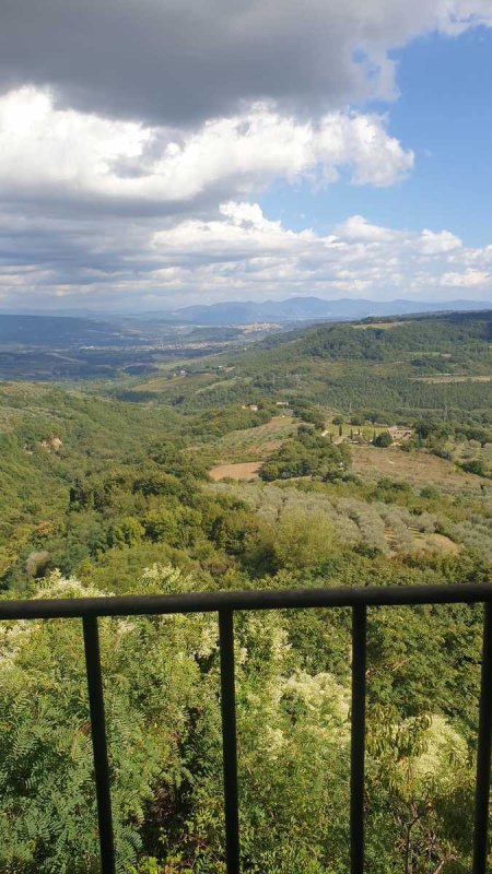 奥尔维耶托排楼