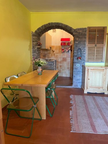 Einzimmerwohnung in San Romano in Garfagnana