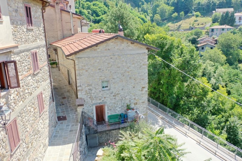 Maison individuelle à Minucciano