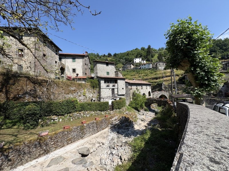 Casa semi-independiente en Fabbriche di Vergemoli