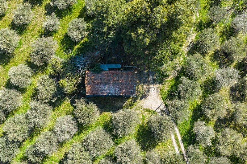 Klein huisje op het platteland in Montefiore dell'Aso