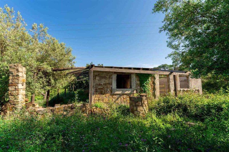 Terreno agrícola em Cefalù