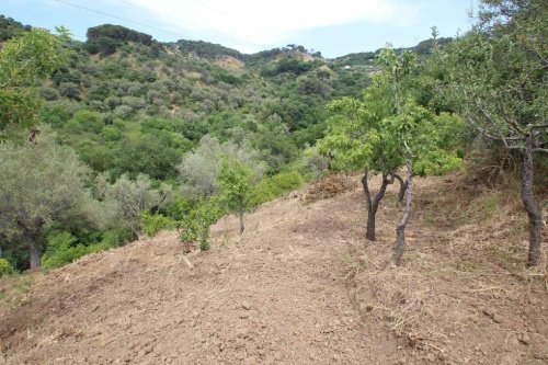 Landwirtschaftliche Fläche in Cefalù