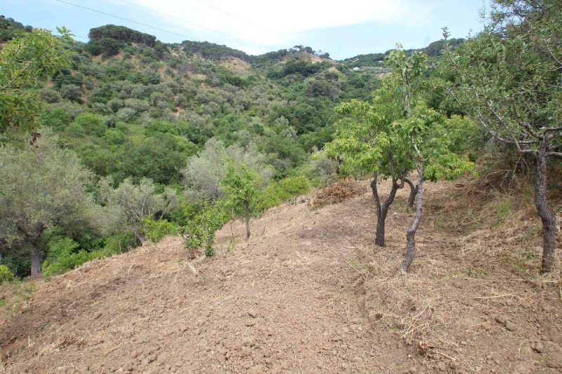 Terrain agricole à Cefalù