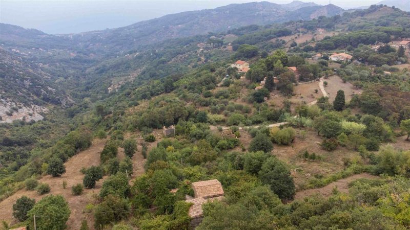 Terrain agricole à Cefalù