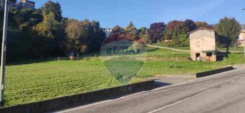 皮亚尼科建筑用地