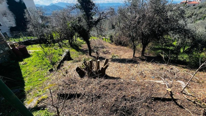 Casa geminada em Arpino