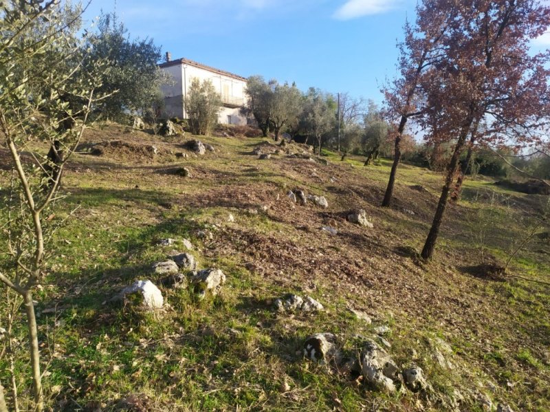 Casa independiente en Veroli