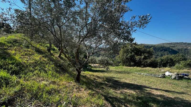 Klein huisje op het platteland in Monte San Giovanni Campano