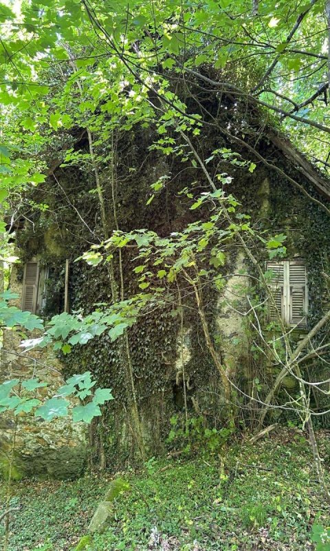 House in Sassello