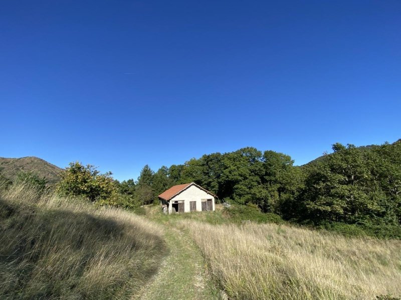 Вилла в Сасселло