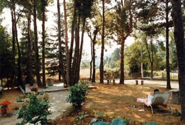 Дом в Сасселло