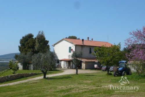 Country house in Piombino