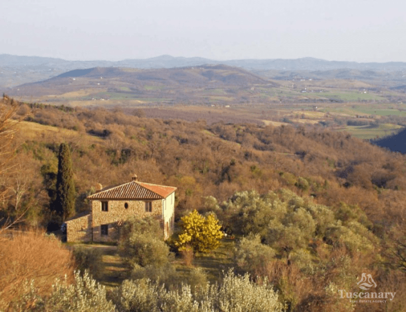 Country house in Scansano