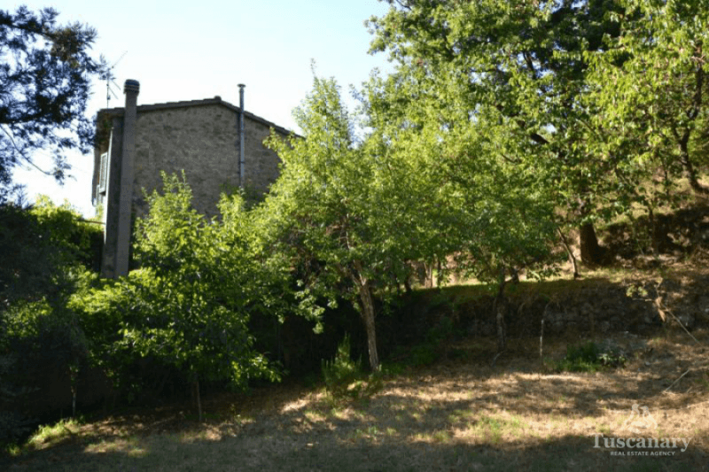 Detached house in Arcidosso
