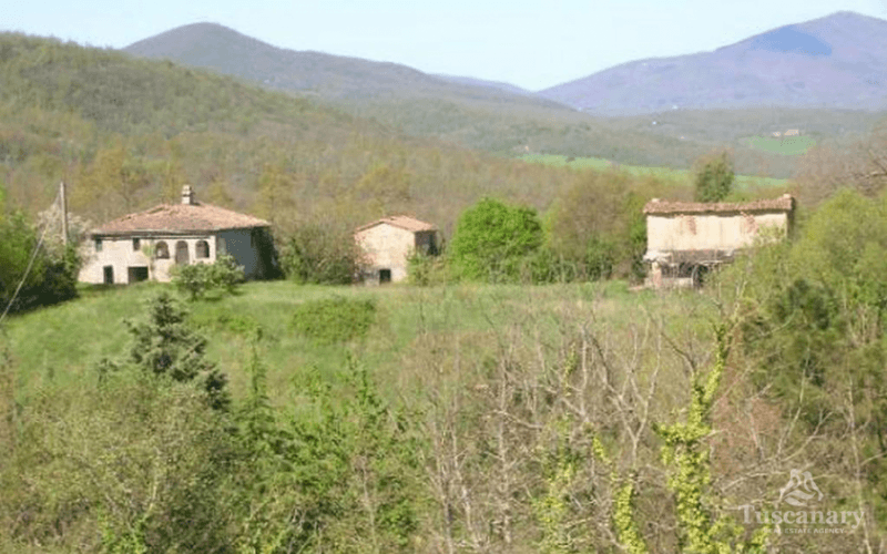 Bauernhaus in Monticiano