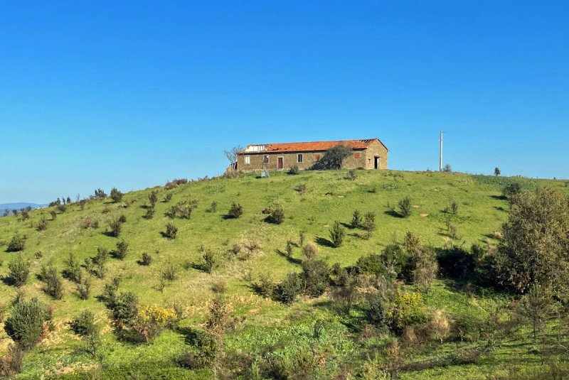 Landhaus in Scansano
