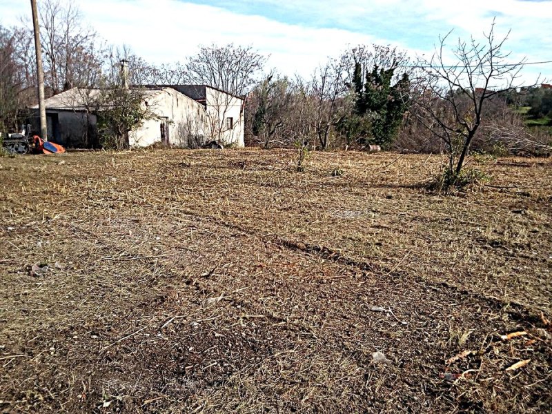 Lantställe i Ortona