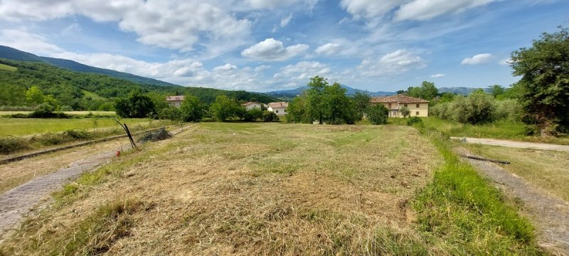 Bouwgrond in Colledara