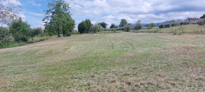 Bouwgrond in Colledara