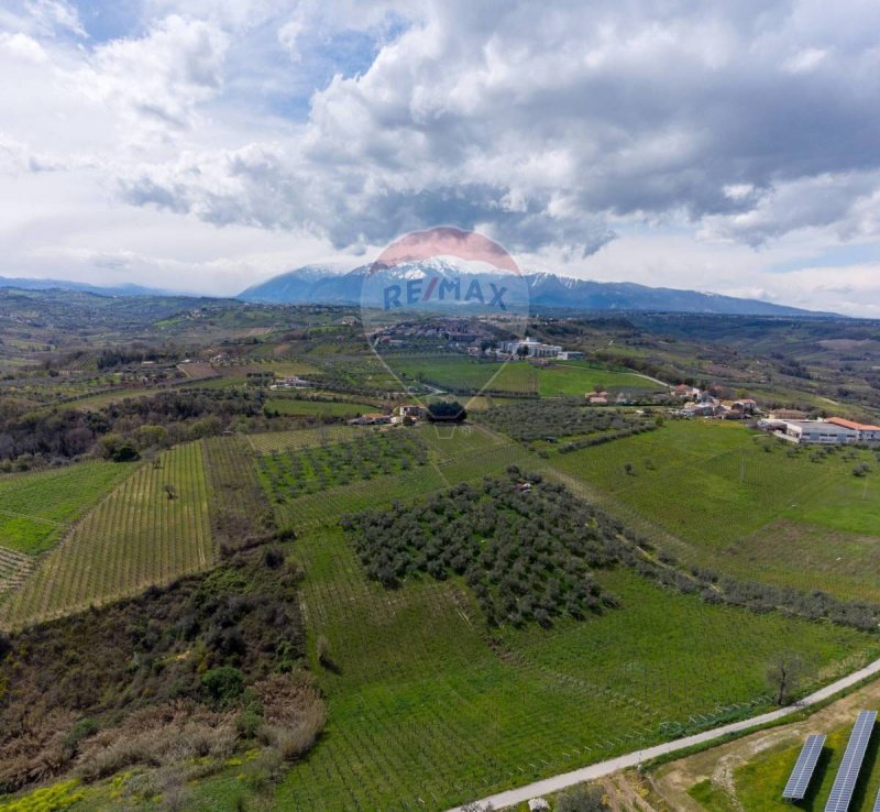 Azienda agricola a Frisa