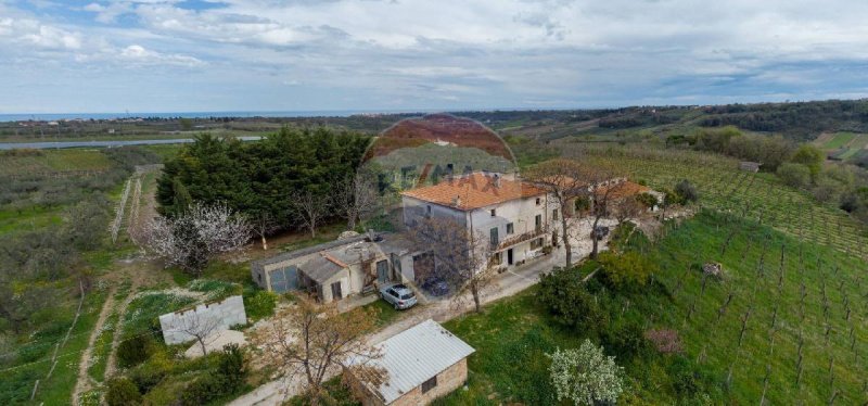 Azienda agricola a Frisa