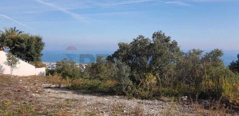 瓦斯托农用土地