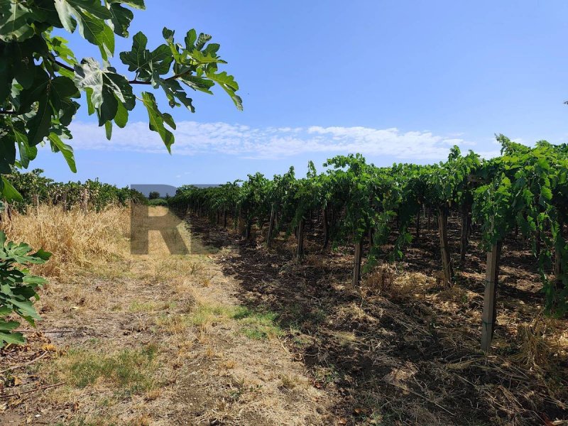 Huis op het platteland in Pollutri