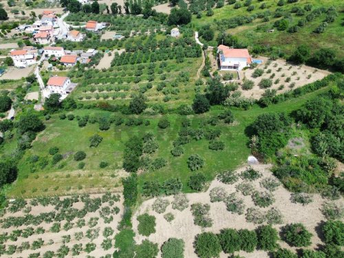 Landbouwgrond in Paglieta