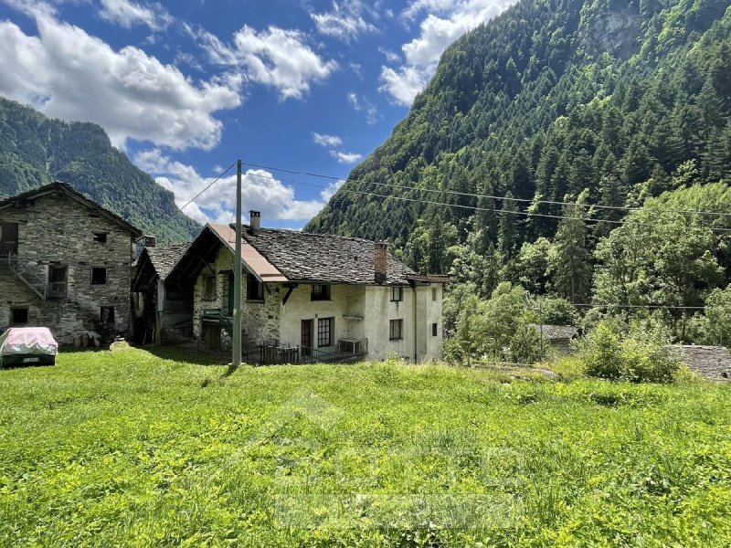 莫利亚建筑用地