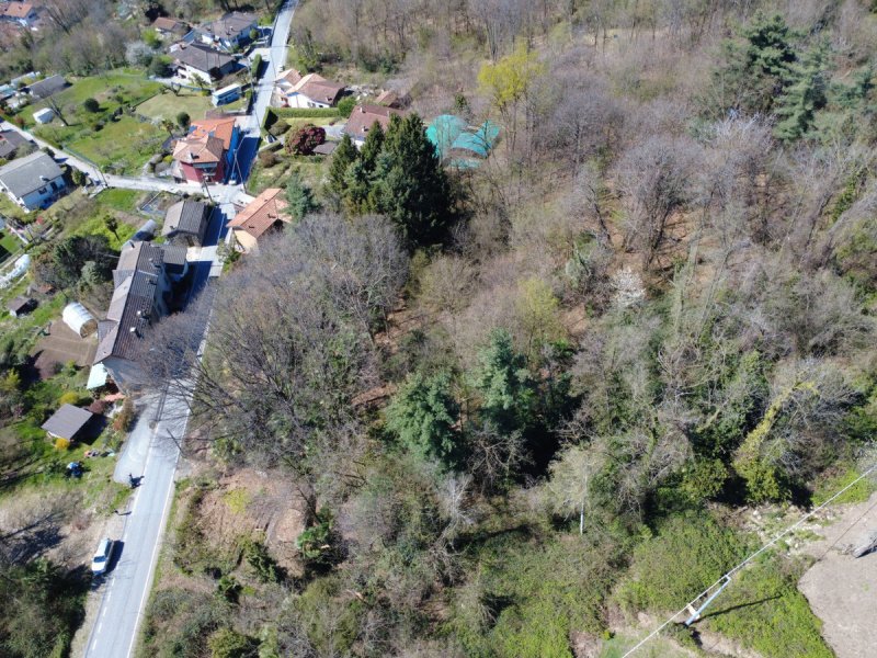 Building plot in Vignone