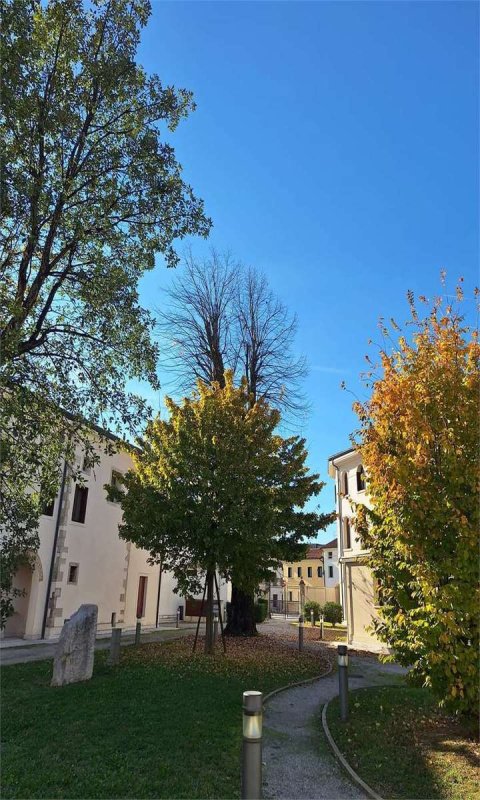 Casa semi-independiente en Vittorio Veneto