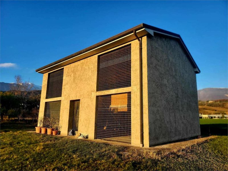 卡佩拉马焦雷房屋