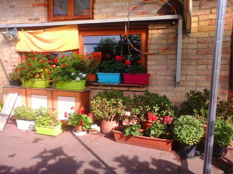 Casa en Cappella Maggiore