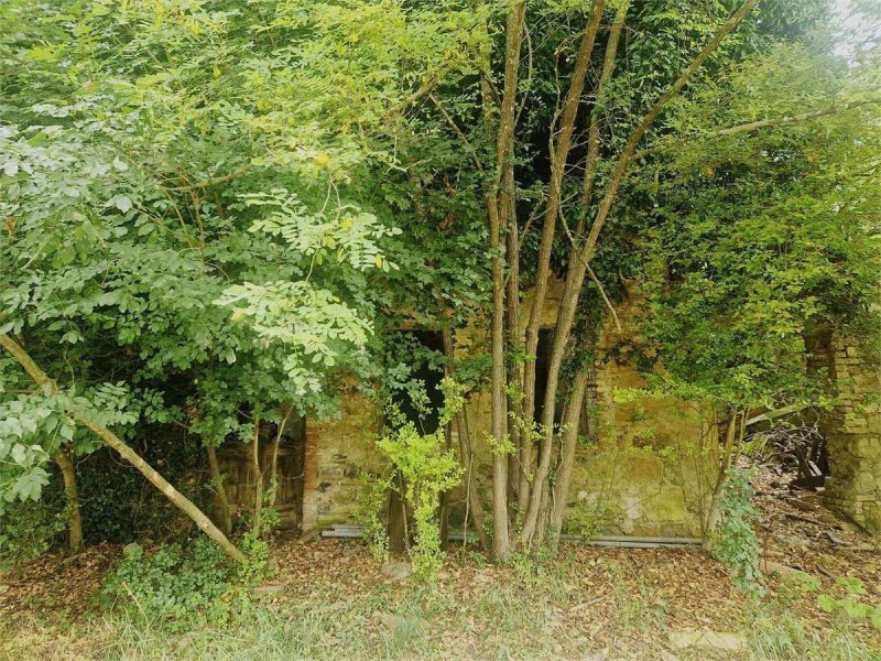 Terrain à bâtir à Tarzo