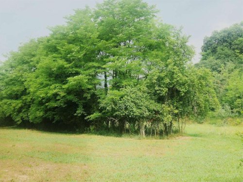 Terreno para construção em Tarzo