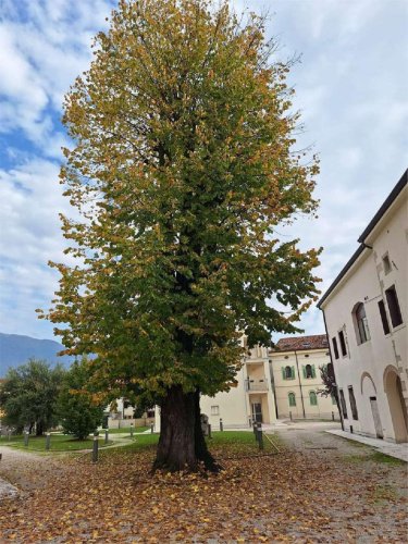 Appartement in Vittorio Veneto