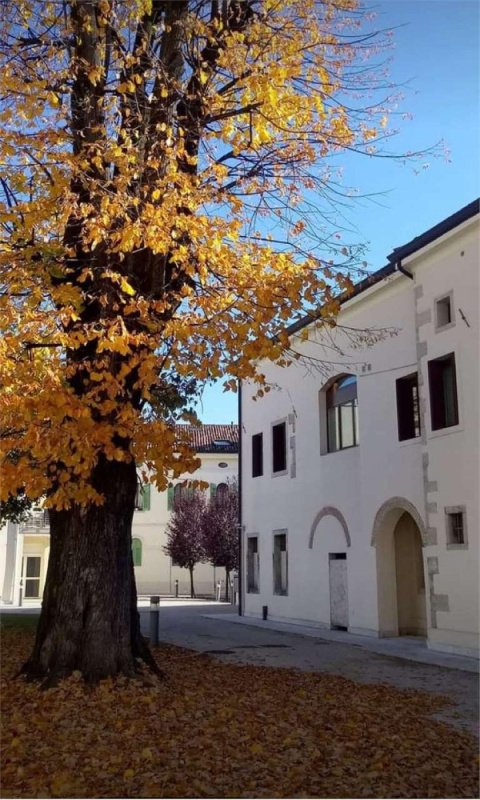 Casa semi-independiente en Vittorio Veneto
