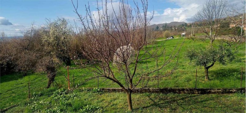 Casa independiente en Fregona