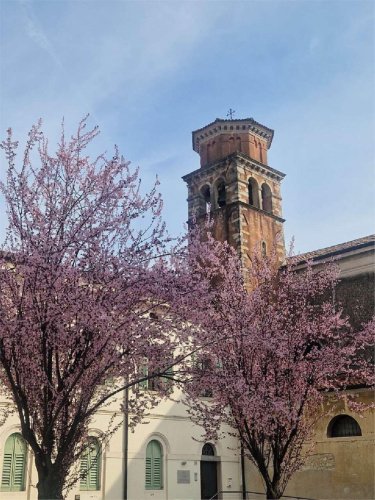 Appartamento a Vittorio Veneto